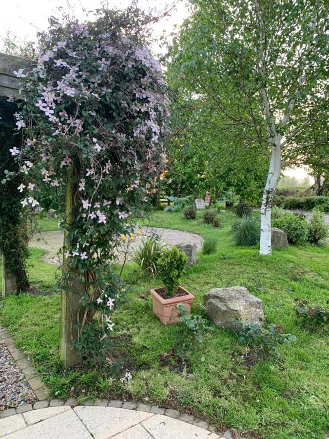Bed and Breakfast Windyridge Aghagallon Экстерьер фото